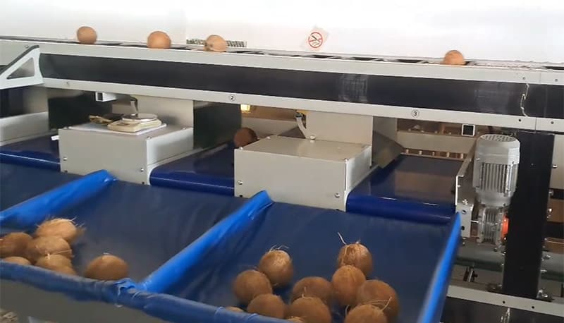 images/1739779134263coconut size grader.jpg